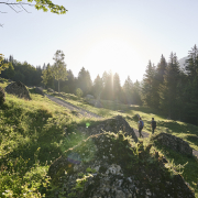 Wandern im Naturpark Nagelfluhkette (c) Alex Kaiser - Bregenzerwald Tourismus